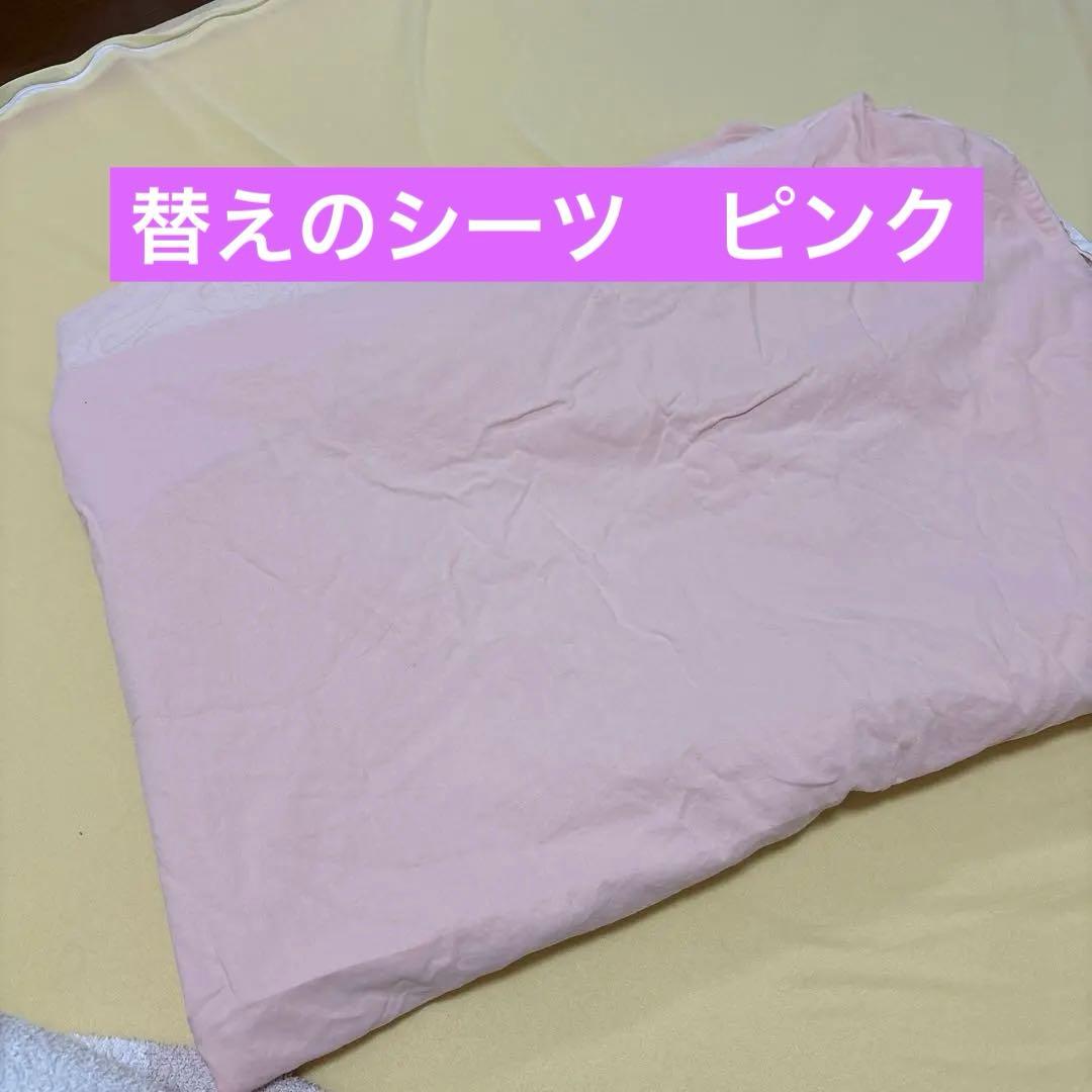 訳あり★トゥルースリーパー　ダブル　専用カバー付き　低反発　マットレス