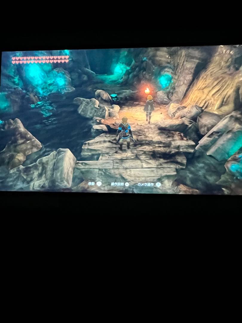 d*9様 ジャンク　Nintendo Switch Lite ターコイズ 本体