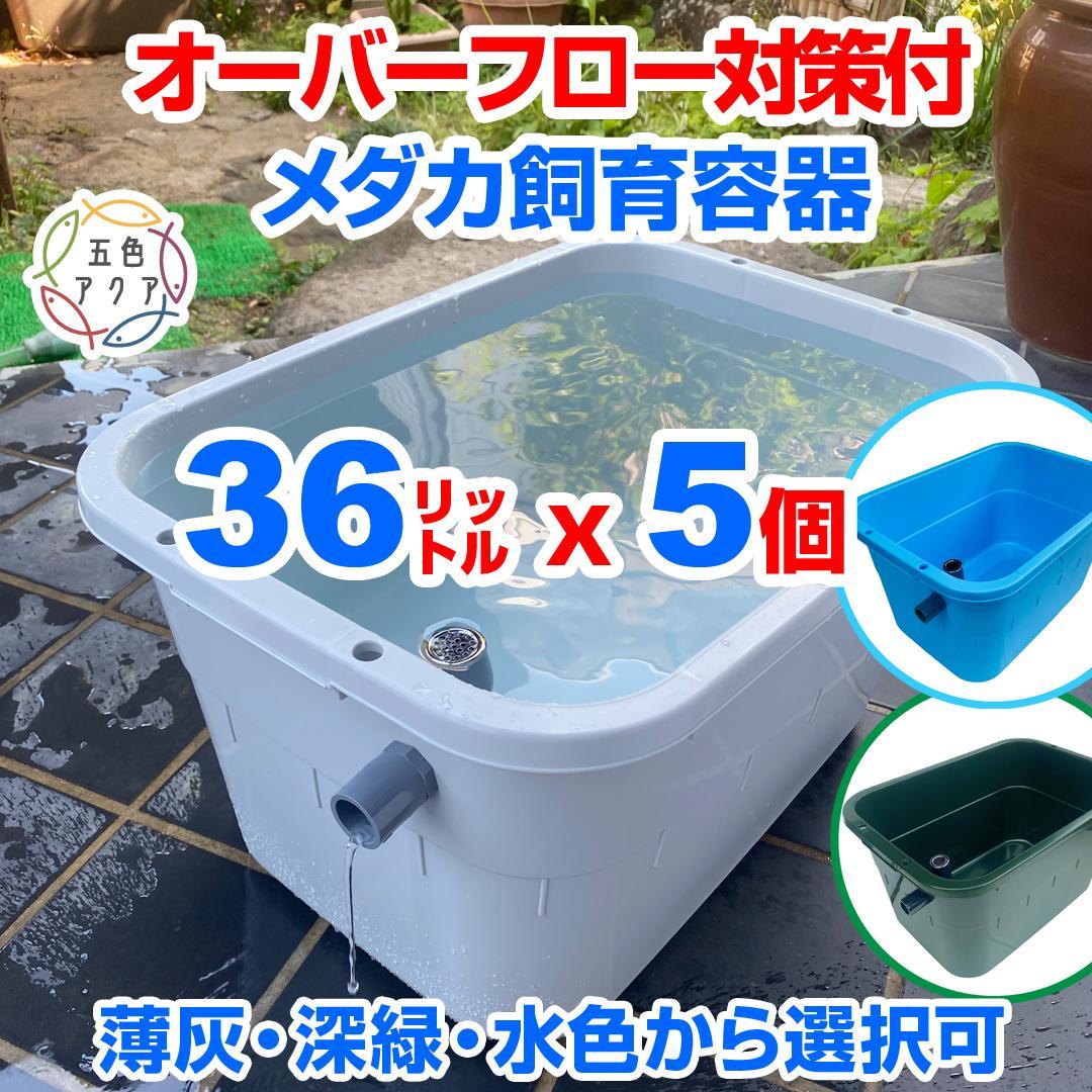 メダカ飼育ケース 36㍑x5個（4色あり） オーバーフロー めだか飼育容器 金魚