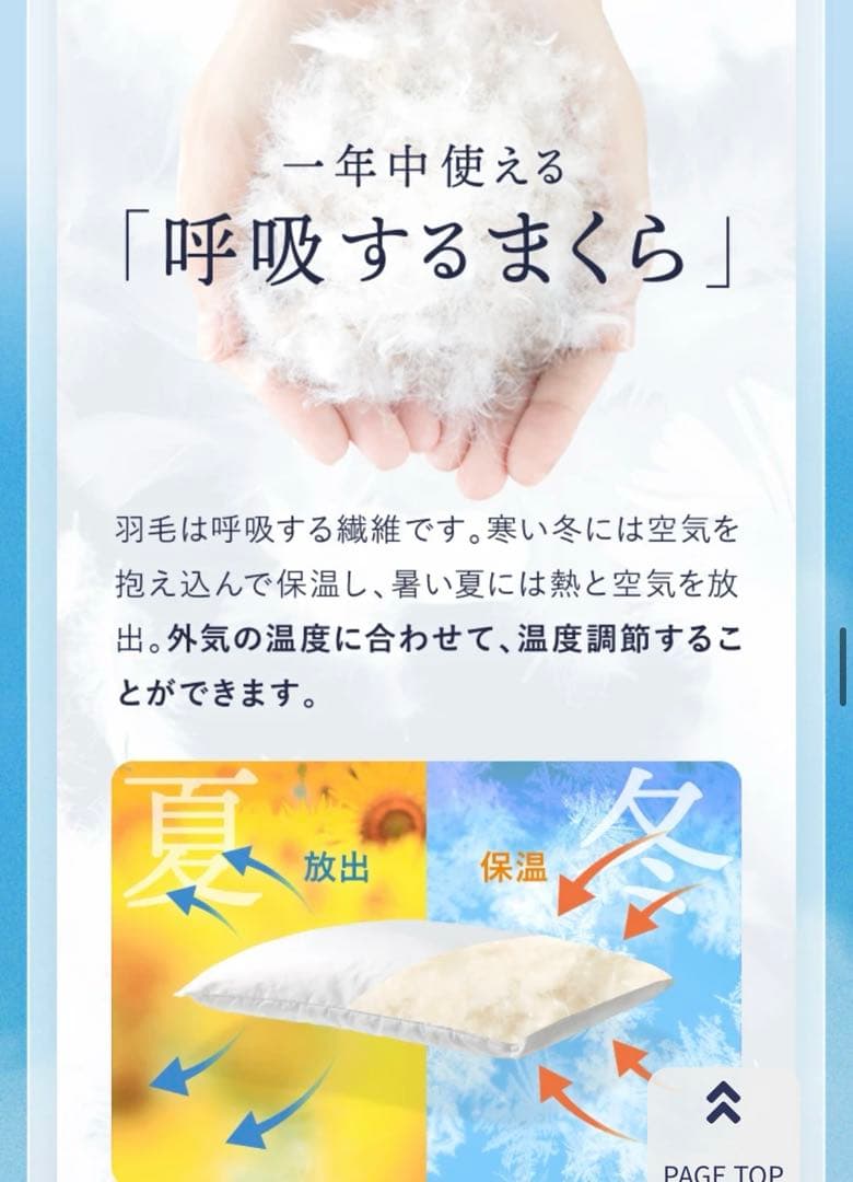 Nelture ふとんでまくら　カバー付き 新品