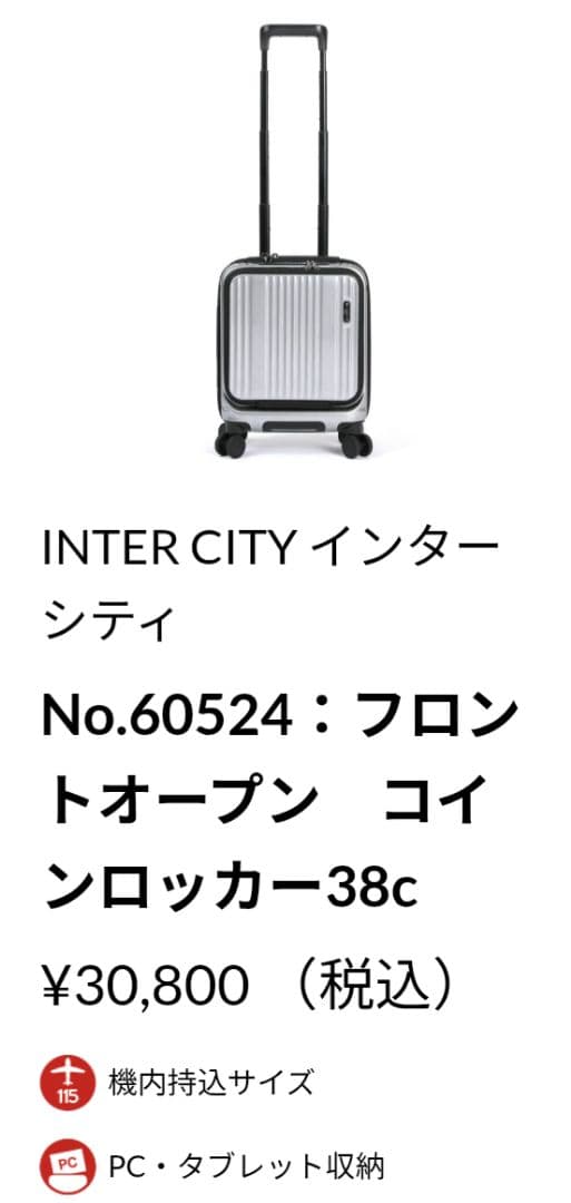 BERMAS☆インターシティ　ロッカー　機内持ち込み　22L