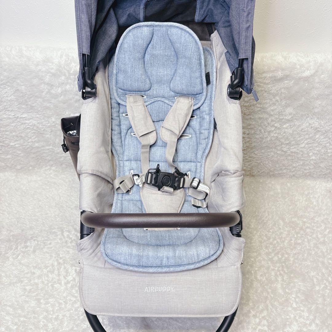 エアバギー ココプレミア フロムバース アース ブルー 上位モデル レザー