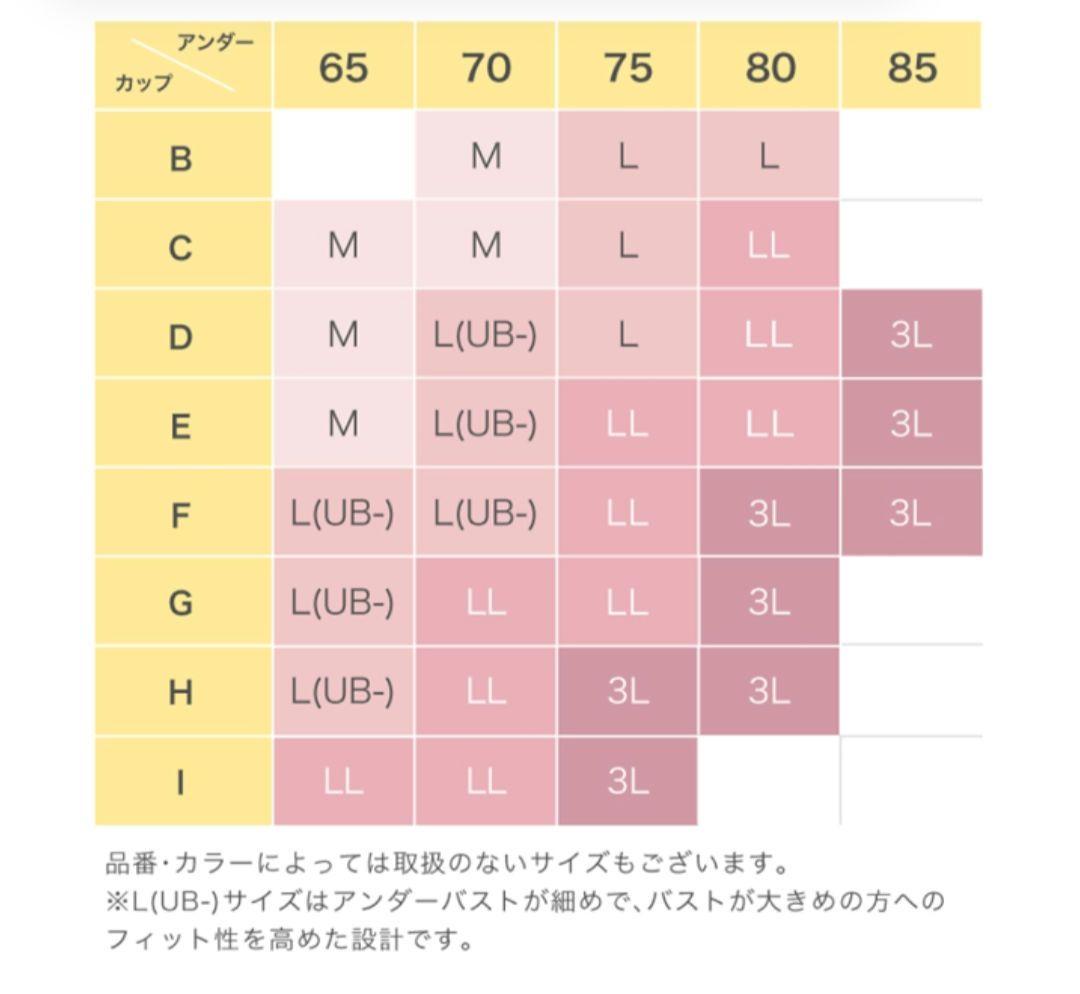 salute サルート ナイトブラ　LL　セット