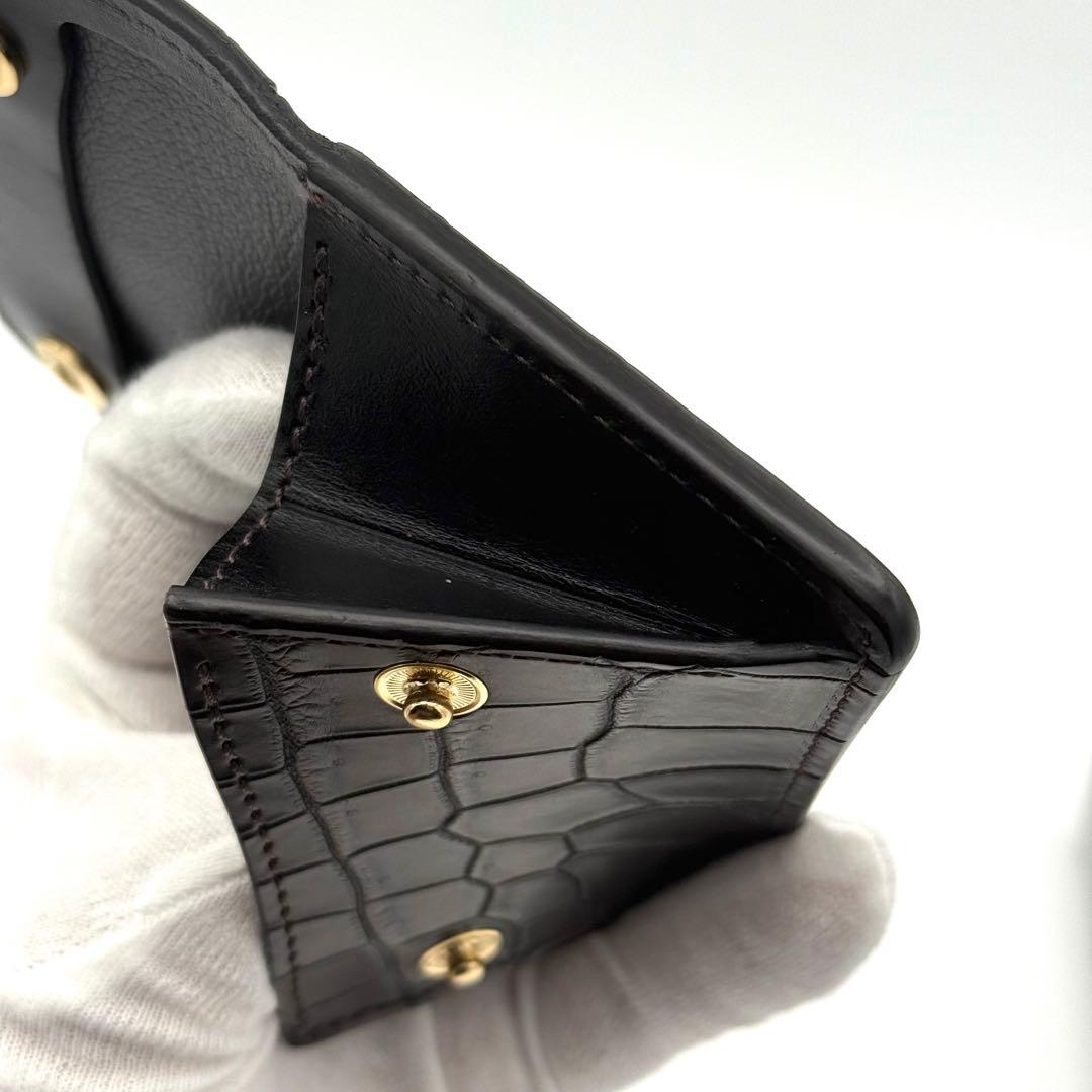 WILDSWANS ワイルドスワンズ タング クロコダイル ブラック