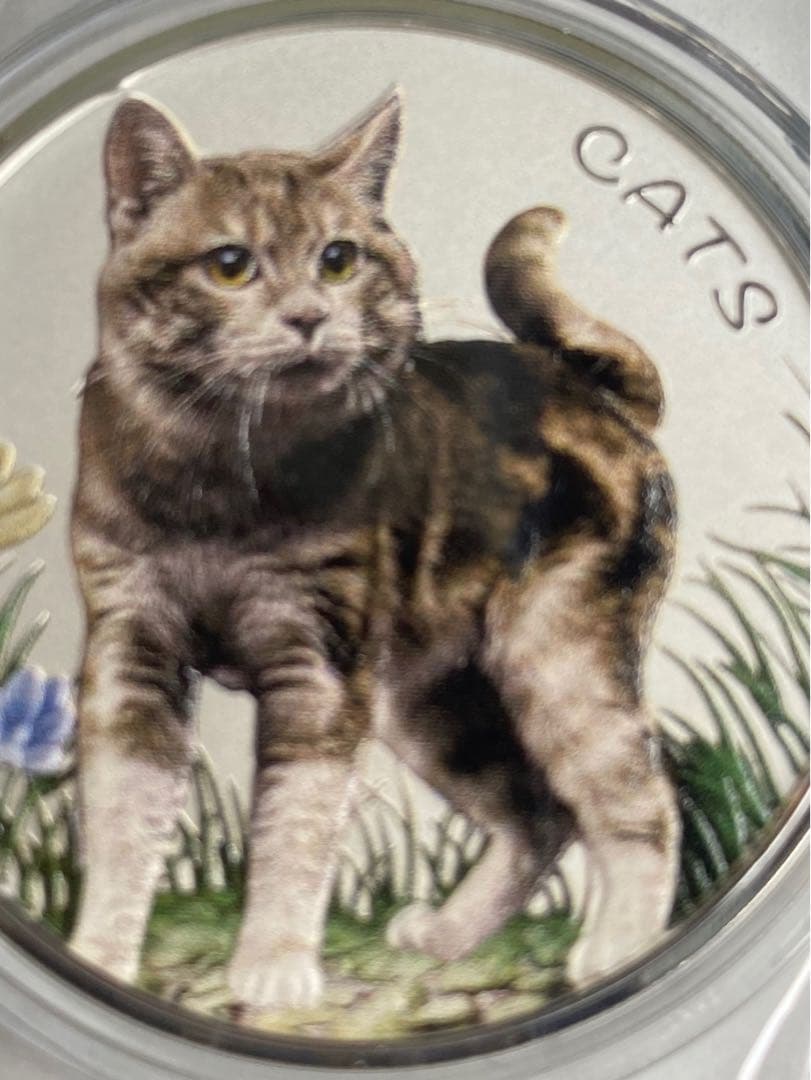 本物❤️新品未使用⭐️限定品❣️純銀製銀貨✨庭猫 フィジー1オンス　カラー版