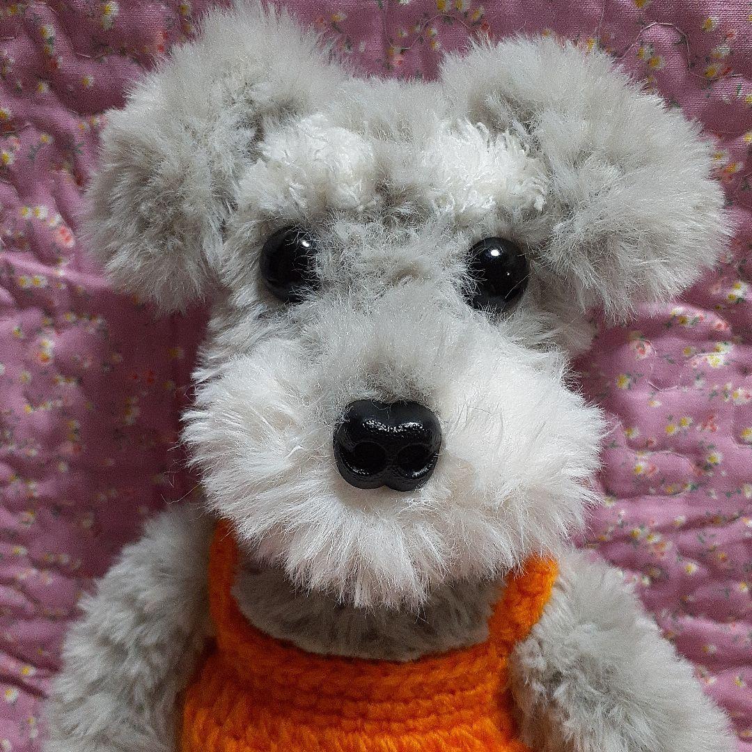 チャルリズです。　猫　ホワイトタイガー