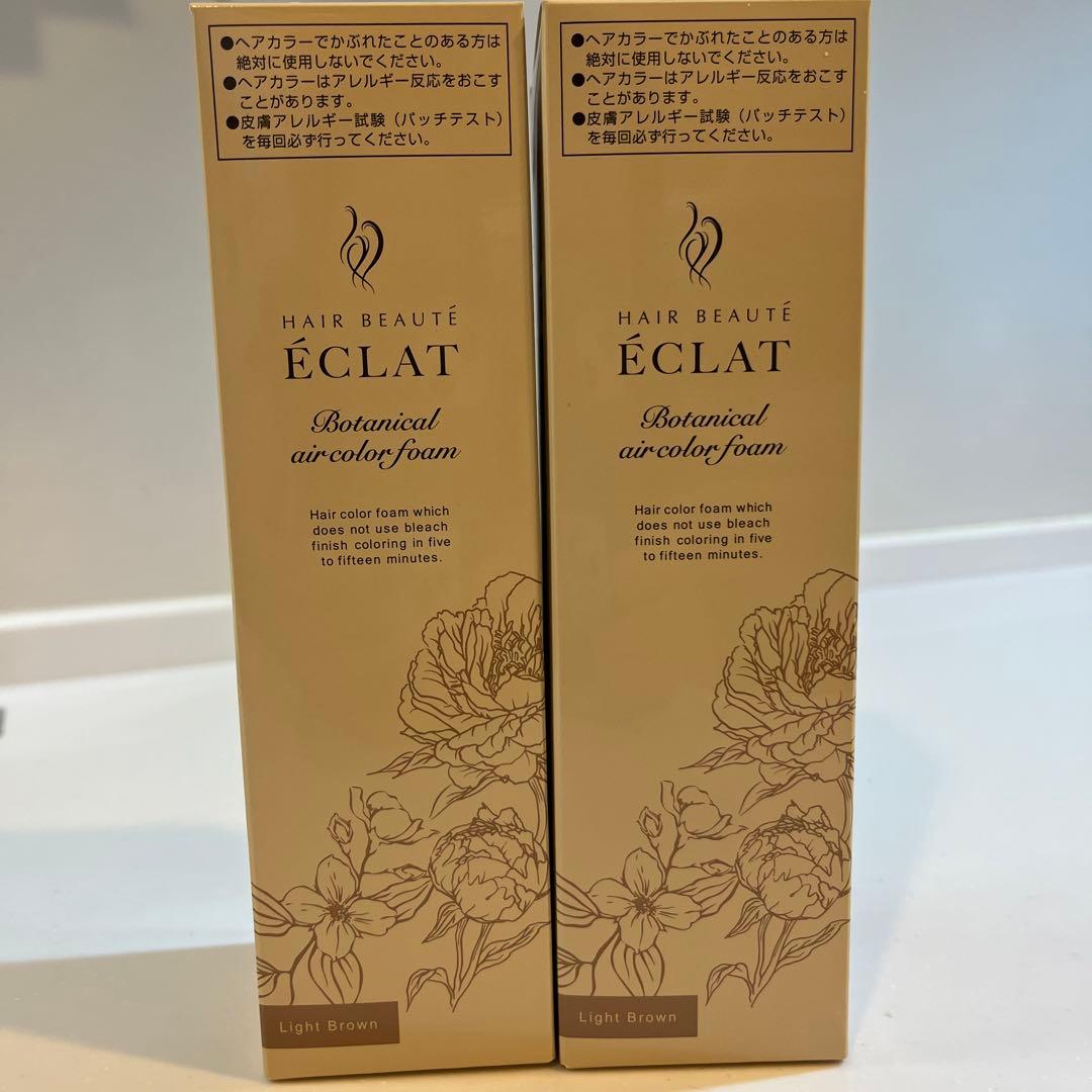 ヘアボーテ エクラ ボタニカルエアカラーフォームupライトブラウン150g×2本