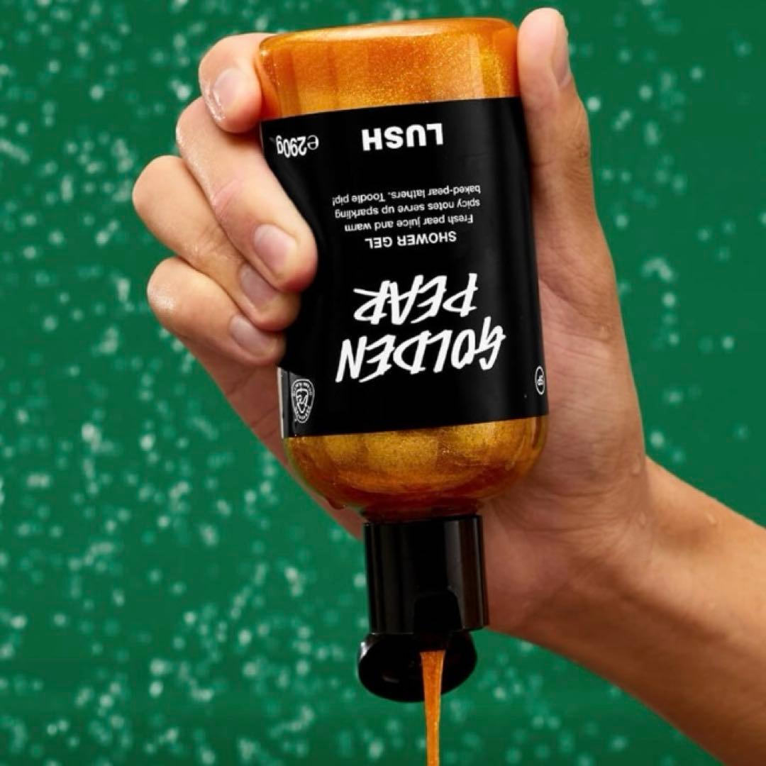 限定‼️ LUSH クリスマス バスボム 10点セット ギフトセット 数量限定