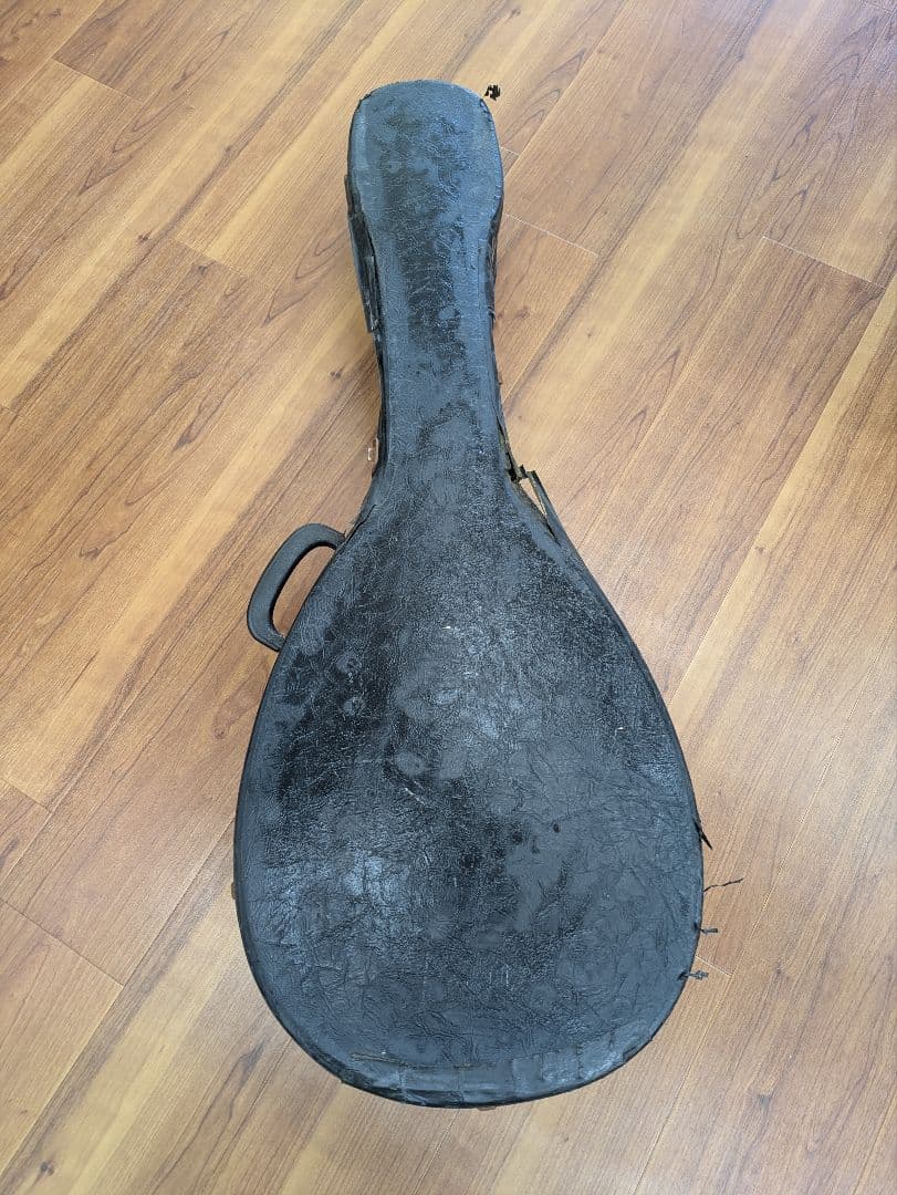 吉*也様 マンドセロ(マンドチェロ/マンドロンチェロ) ケース付き
