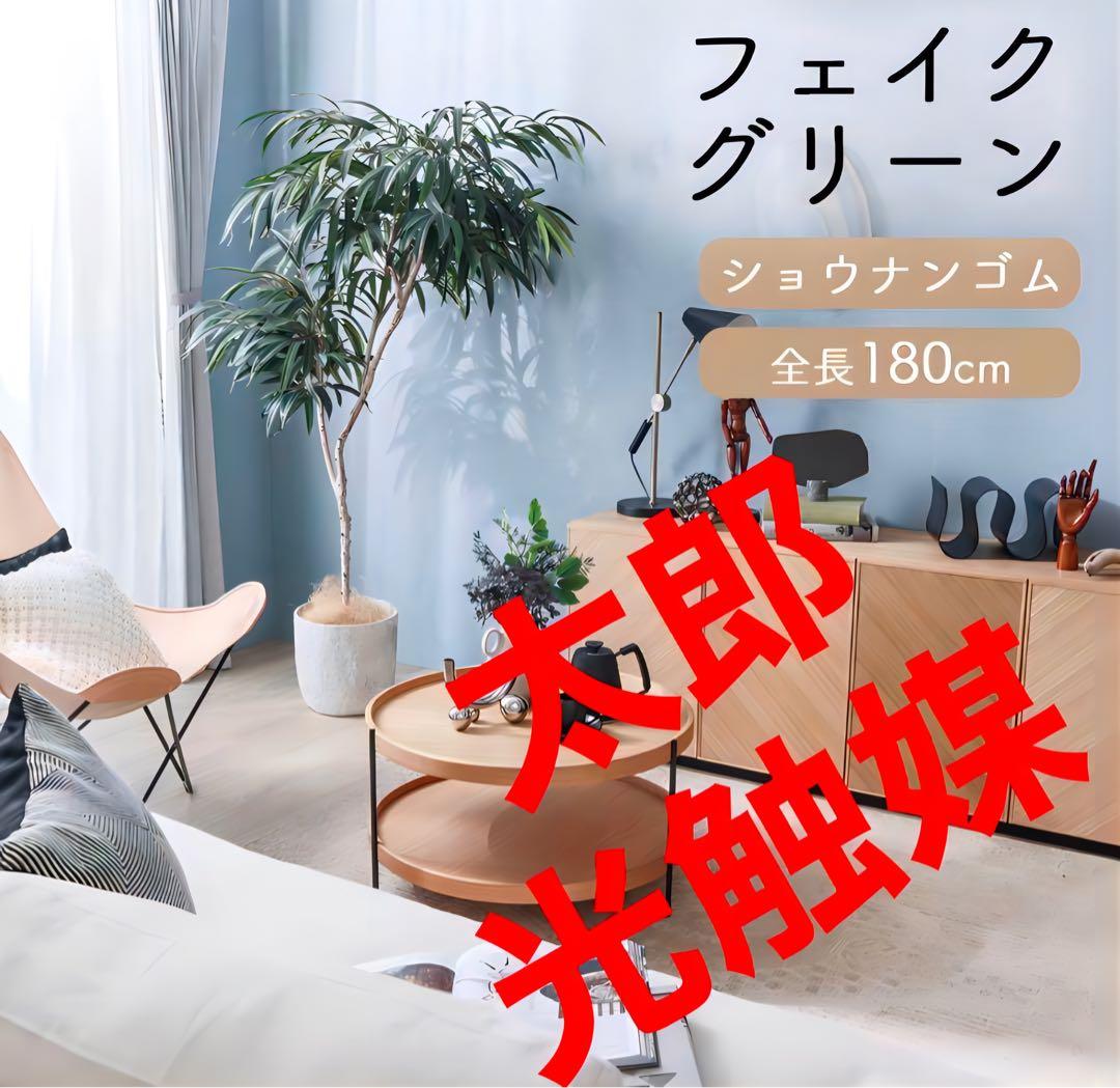 光触媒　人工観葉植物　ウォールグリーン　フェイクグリーン　ショウナンゴム180