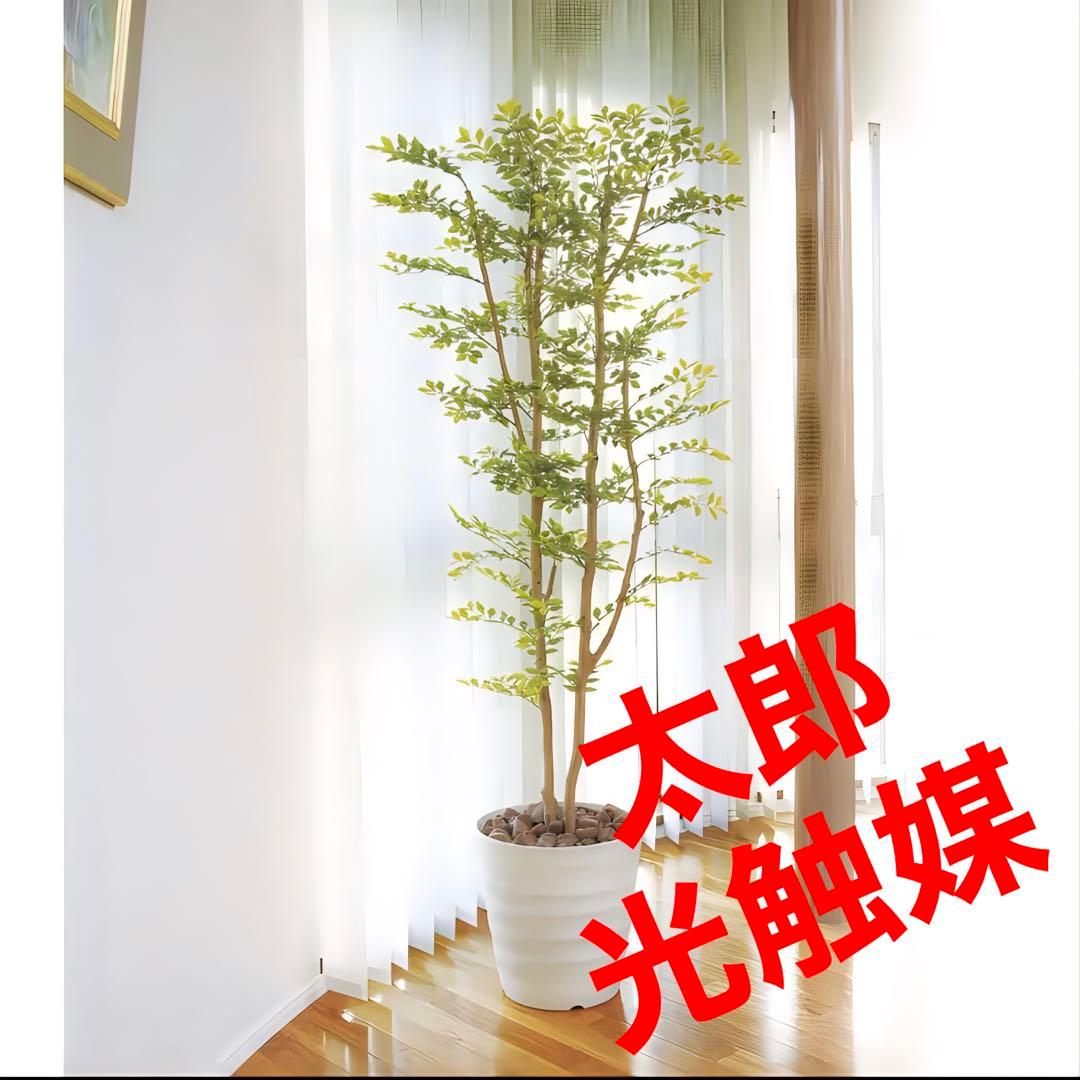 光触媒　人工観葉植物　ウォールグリーン　ゴールデンリーフ1.8h