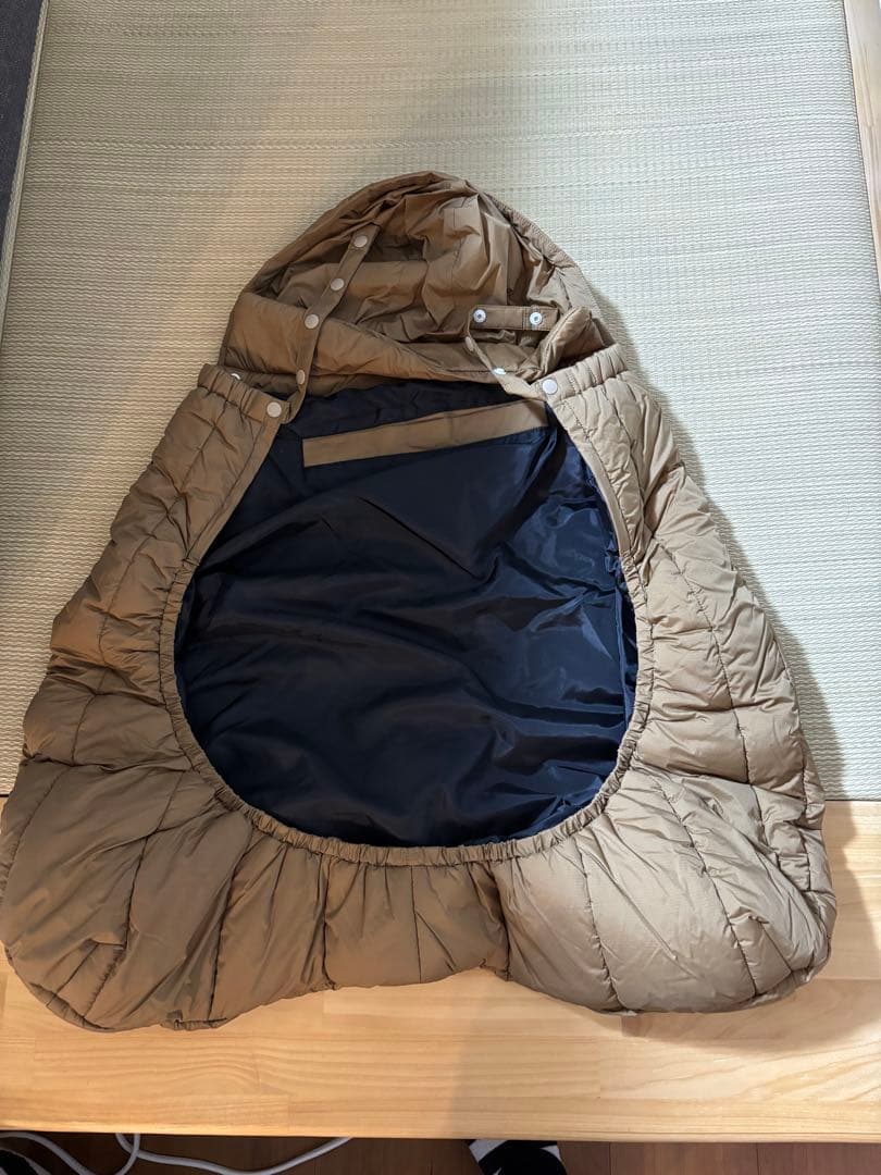 2024秋冬　THE NORTH FACE フード付きダウンスリーブ