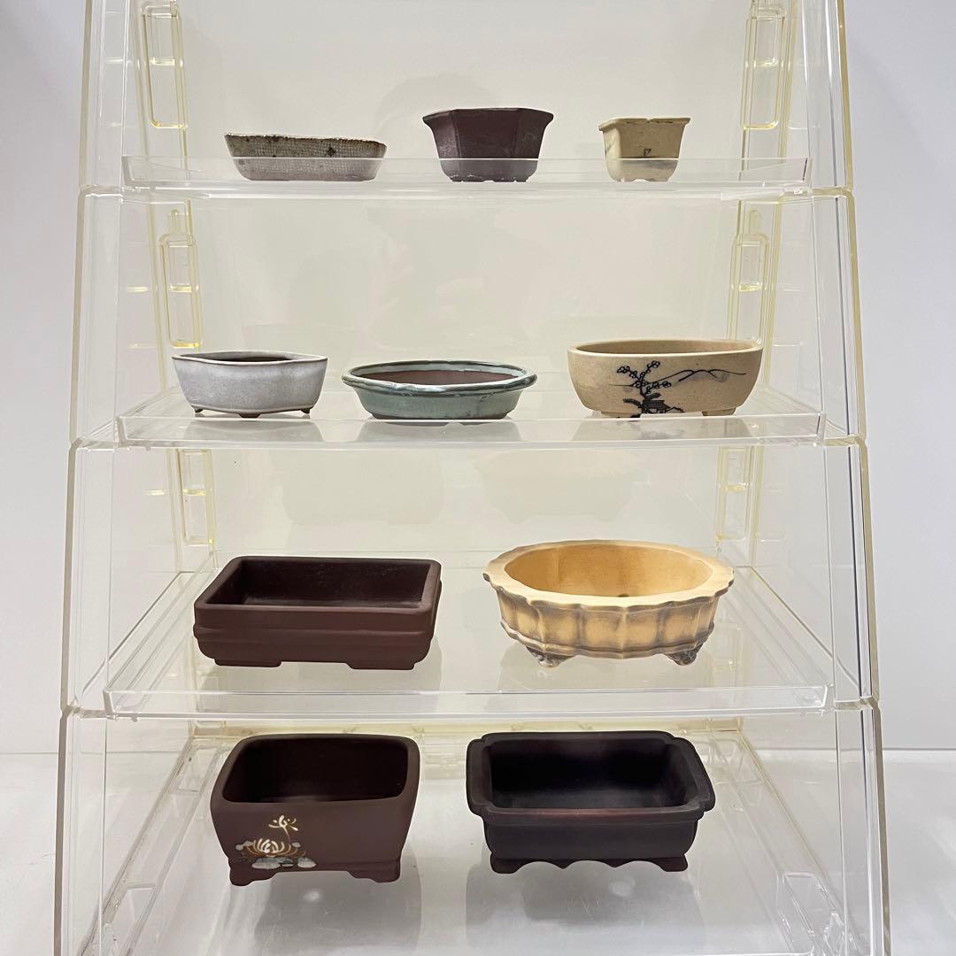 小鉢　小品鉢　ミニチュア盆栽に