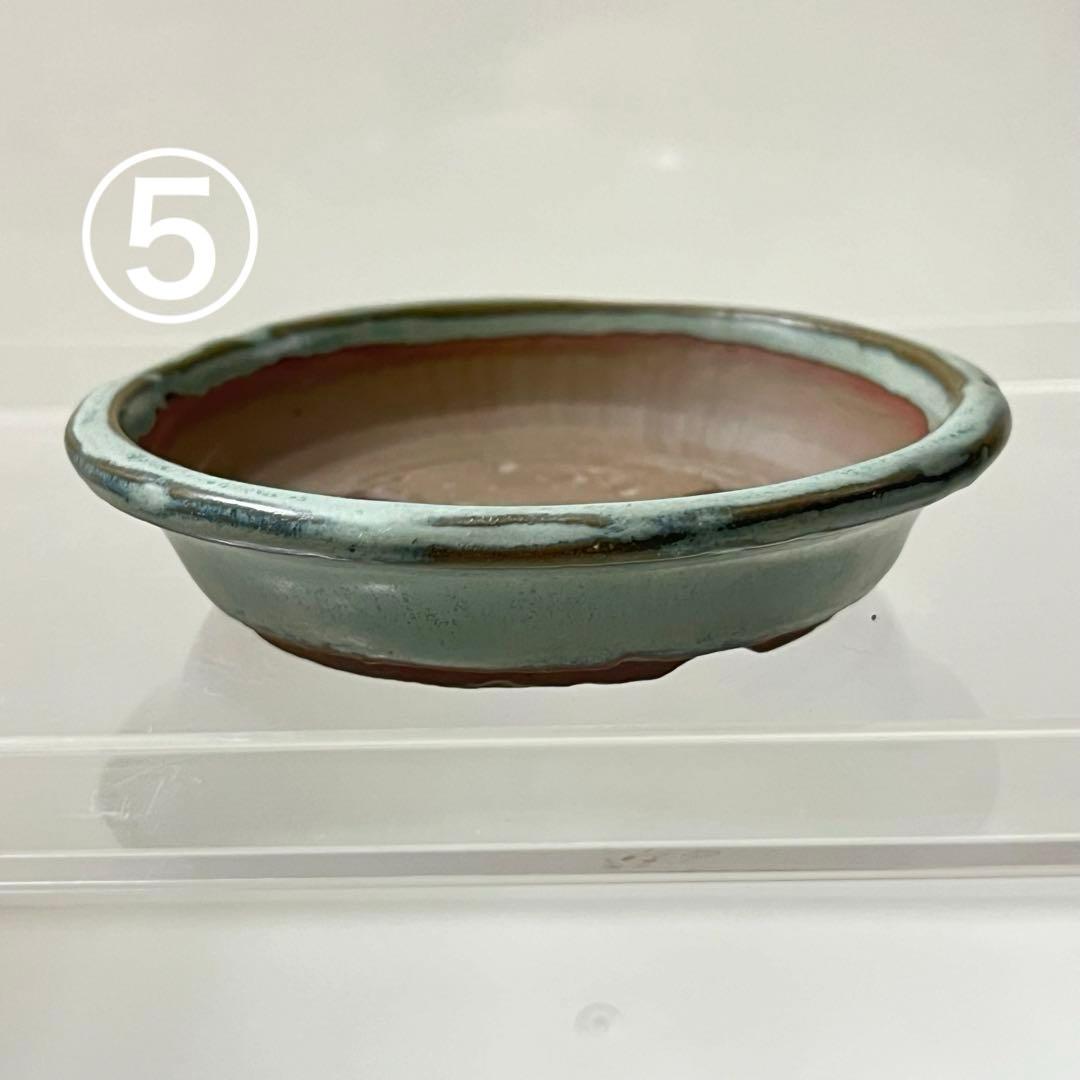 小鉢　小品鉢　ミニチュア盆栽に