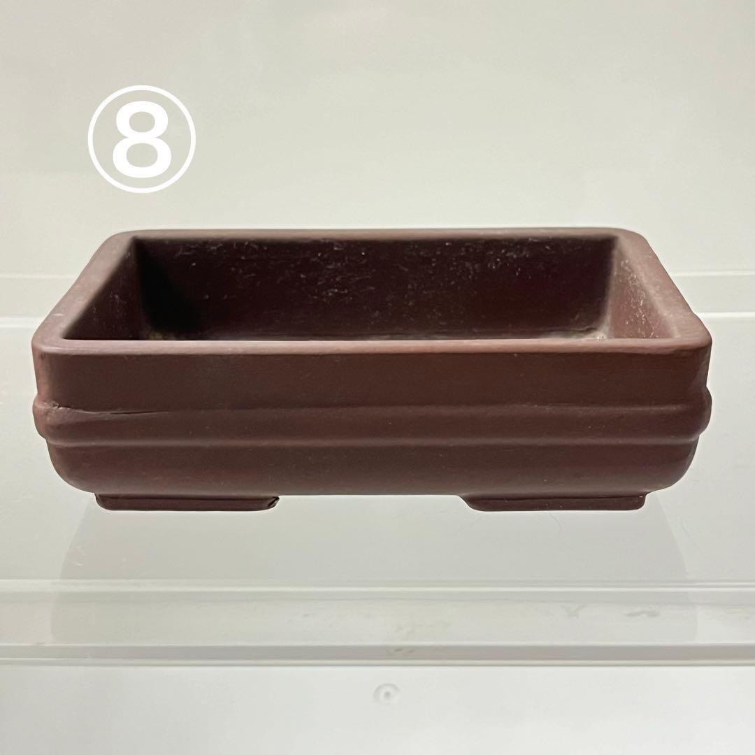 小鉢　小品鉢　ミニチュア盆栽に