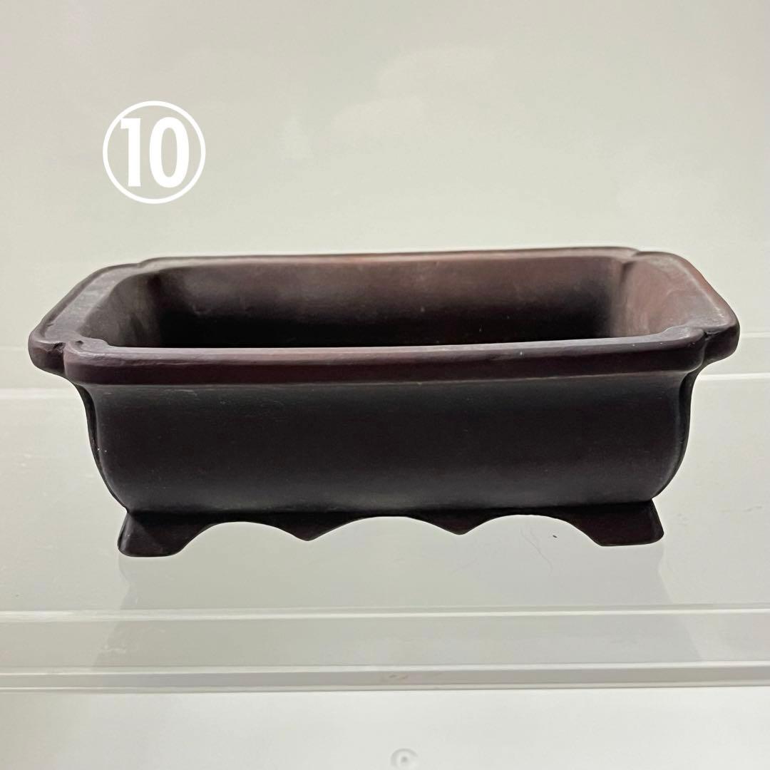 小鉢　小品鉢　ミニチュア盆栽に