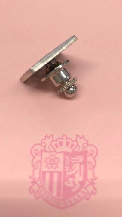 非売品　セレッソ大阪　ピンバッジ