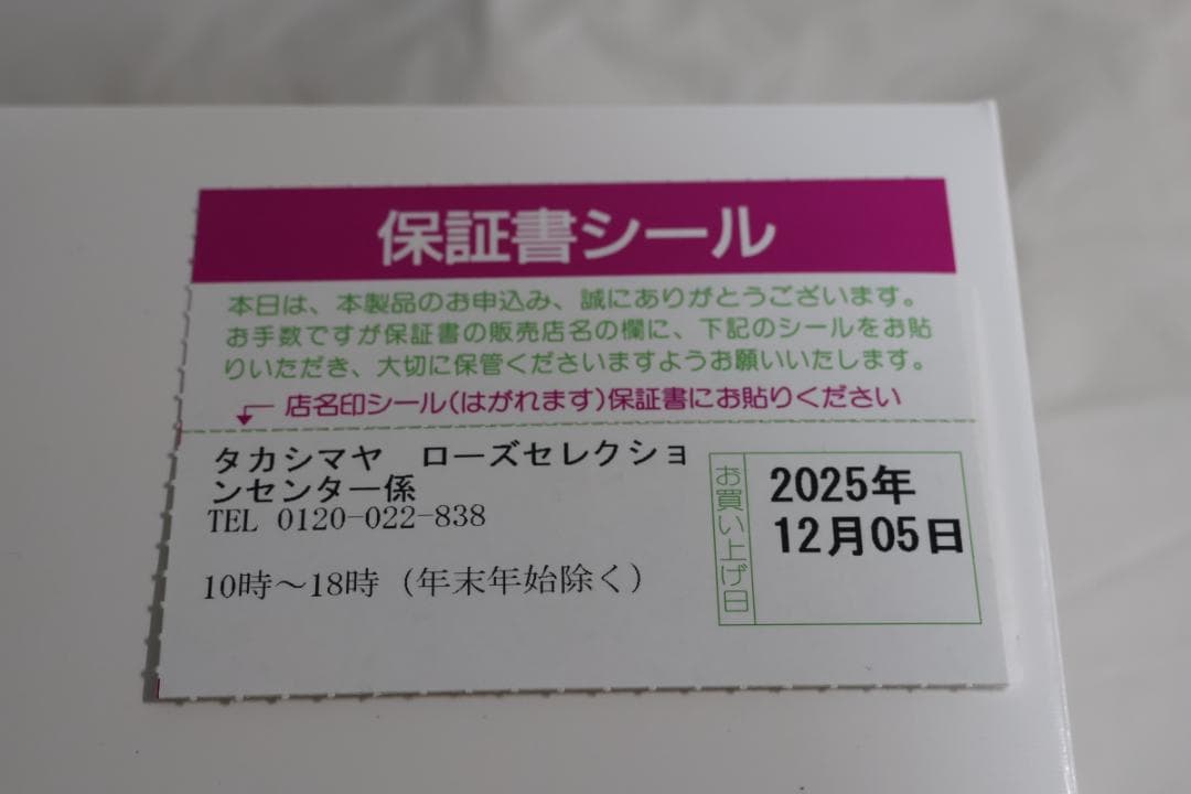 MAKO【新品・未使用・保証有】CASIO BABY-G G-MS