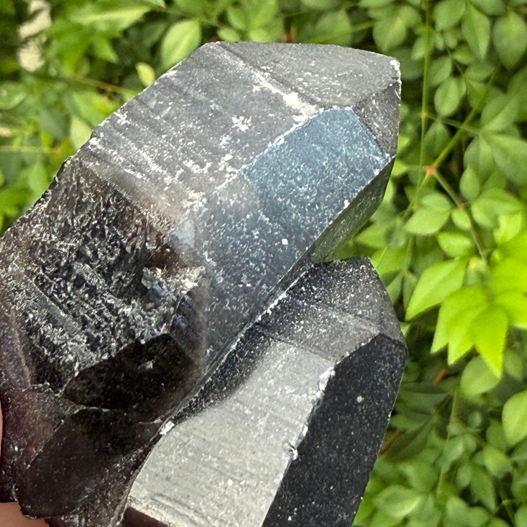 モリオン 黒水晶 天然無処理 原石 MY919