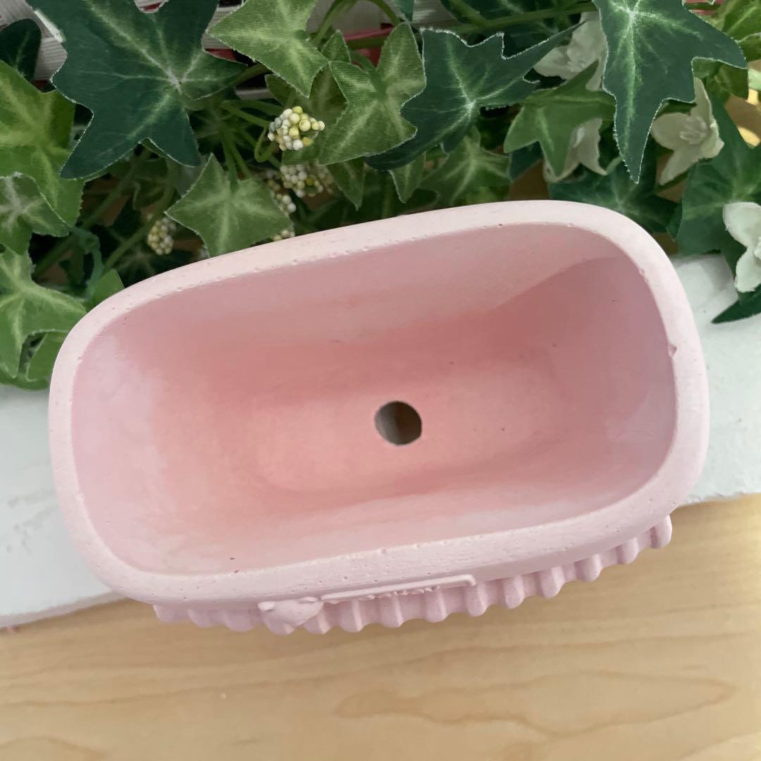 336★bakery鉢　モルタル雑貨　（お任せ植物付き）474