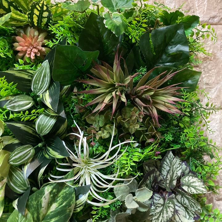 光触媒　人工観葉植物　ウォールグリーン　造花　インテリア　ＢＥＴＴＹCD