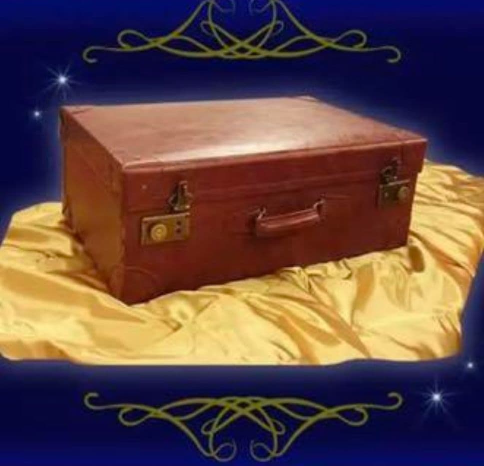 【鍵付き】ファンタスティックビースト　ニュートスキャマンダートランクケース