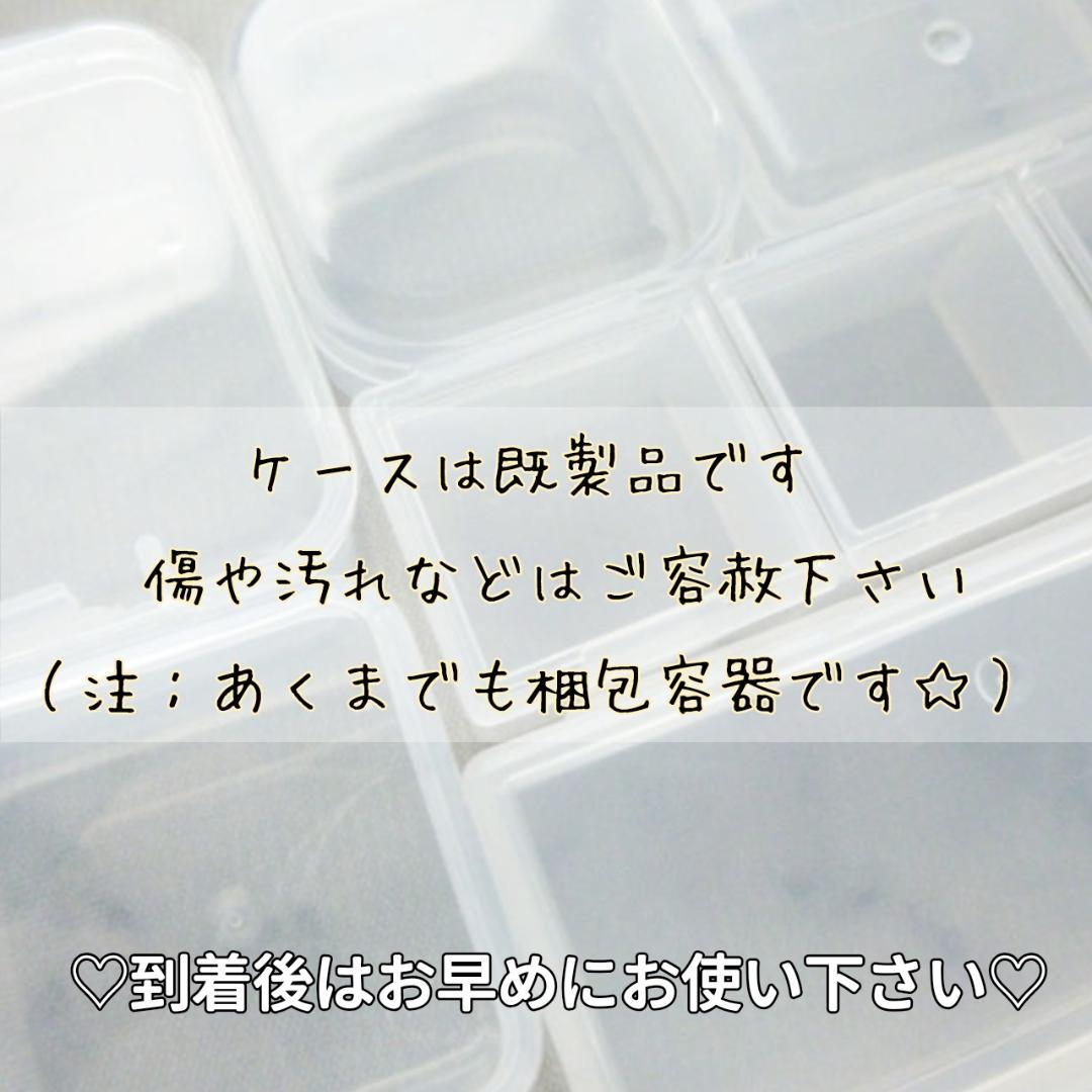 パール‎‎様【訳あり】かすみ草♡（ 842 ドライフラワー パーツ レジン)