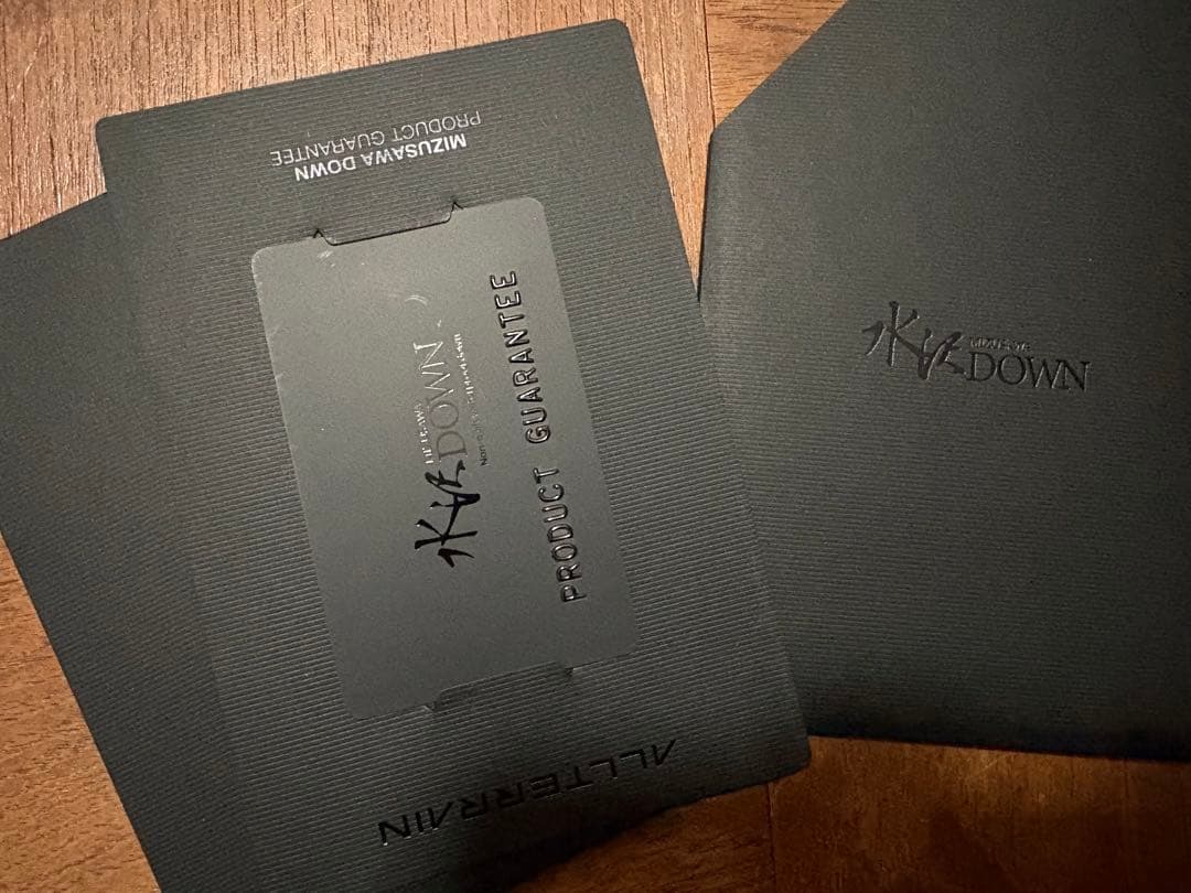 IENA別注　DESCENTE ALLTERRAIN 水沢ダウン　イエナ