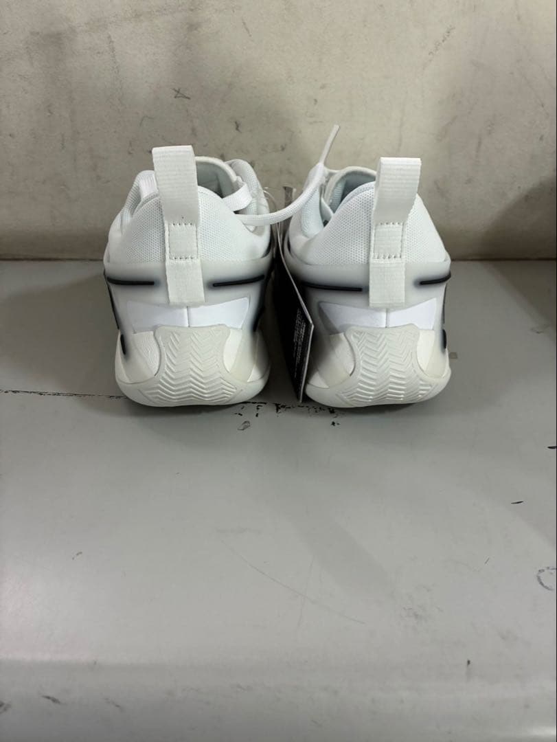 WMN JORDAN HEIR PF 110カラー 23.0㎝