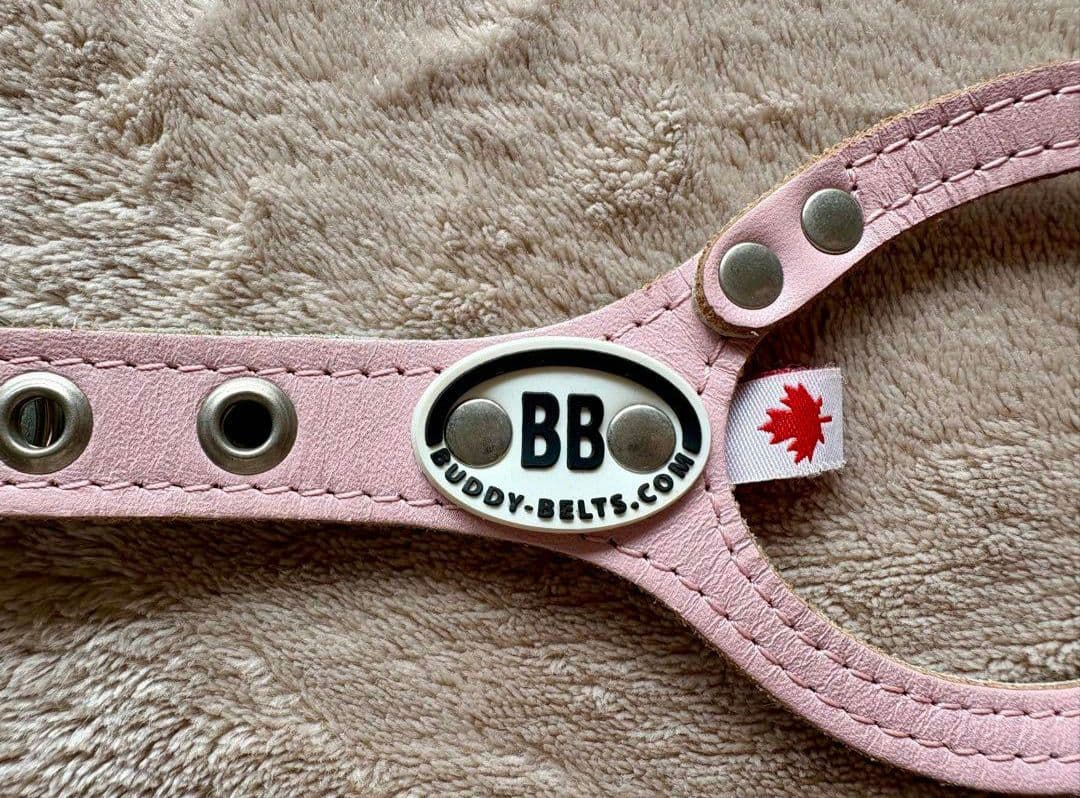 バディベルト Body Belts ピンクハーネス & リード セット　バディー