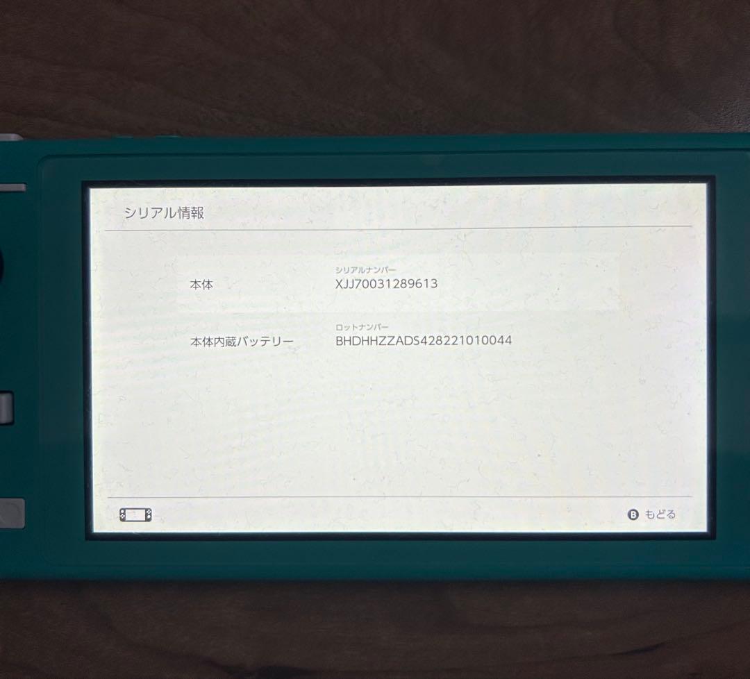 Nintendo Switch Lite ターコイズ本体　SD64、ケース、付き