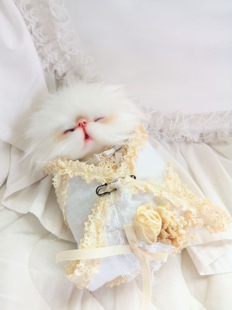 猫ちゃんお出かけパニエ♡エキゾチック子猫ちゃん♡ぬいぐるみ♡セット♡アートドール
