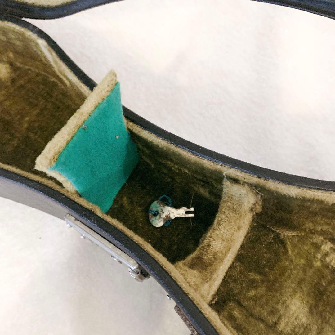 カラーチェ マンドリン 1965 ハードケース付raffaele calace