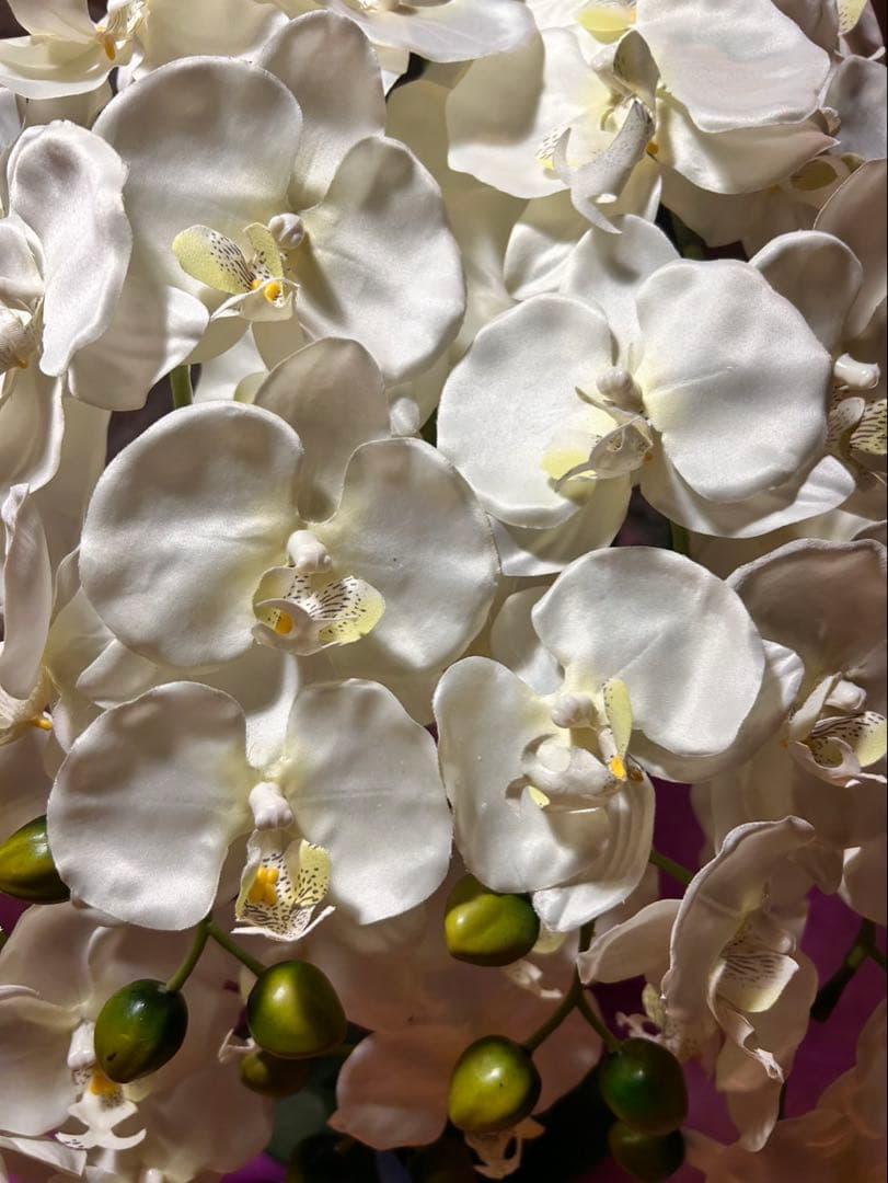 光触媒　人工観葉植物　ウォールグリーン　フェイクグリーン　胡蝶蘭8047