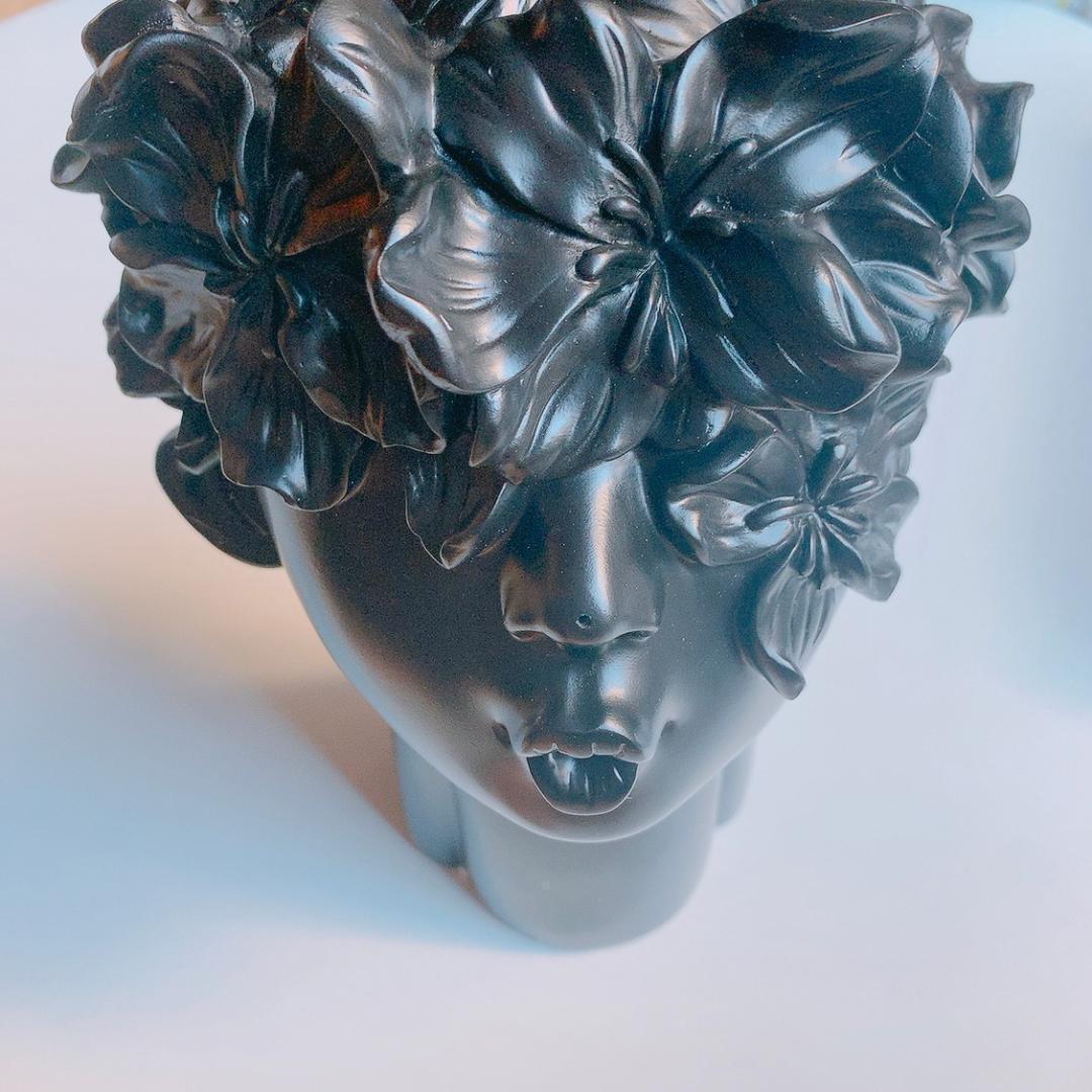 ✴️おしゃれ インテリア 置物 装飾 リビング 上級 高級 黒 ブラック