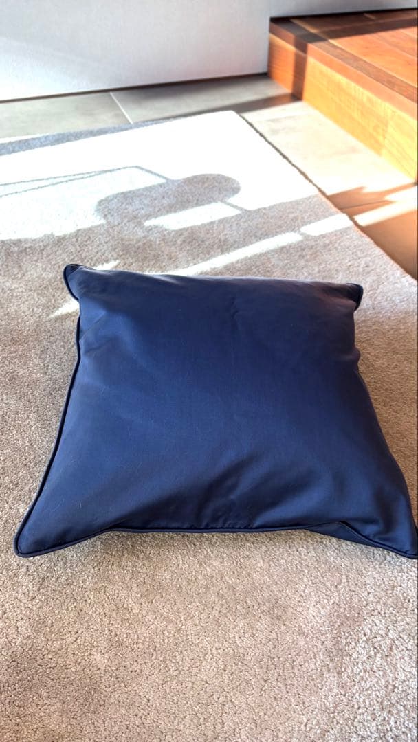 クッション　カッシーナIXC