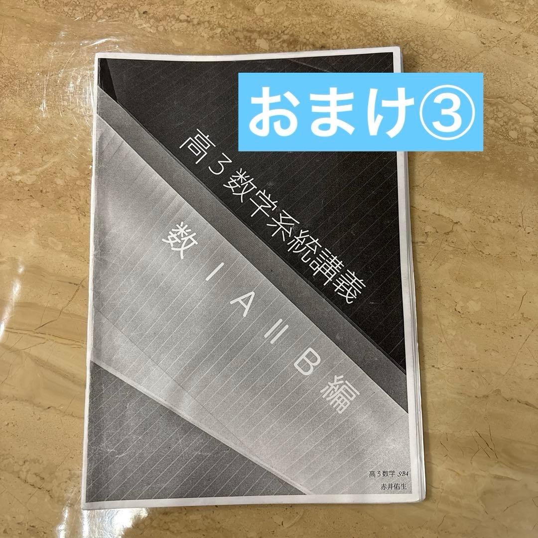 高3 理系数学　入試数学確認シリーズ ⭐️おまけつき