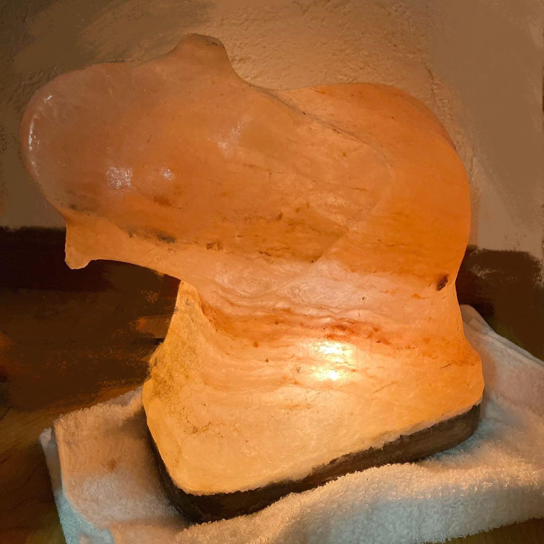 ゾウ　岩塩　塩ランプ　ピンクソルト　ソルトランプ　7kg 彫刻　象
