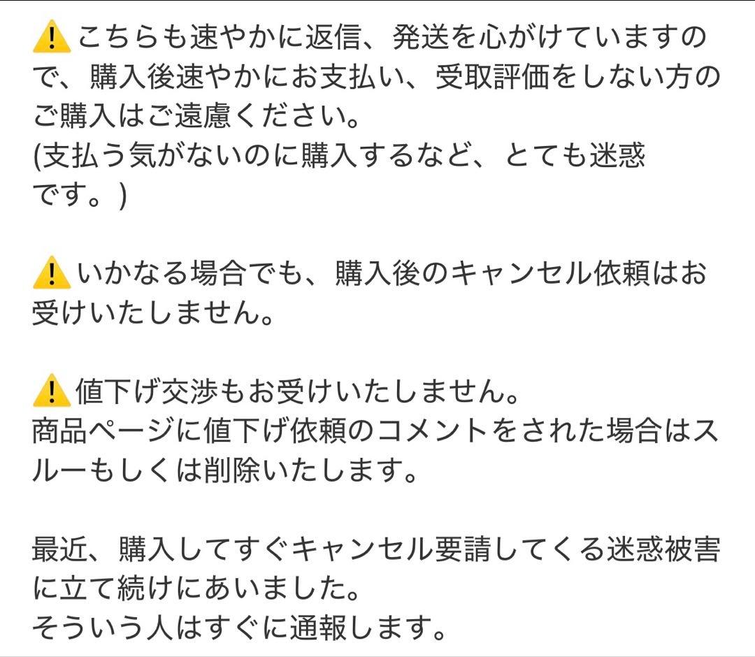 【未使用品】クリスマス食器セット サンタデザイン