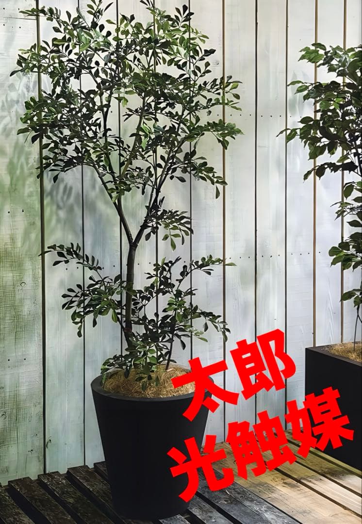 光触媒　人工観葉植物　ウォールグリーン　フェイクグリーン　トネリコ120FST
