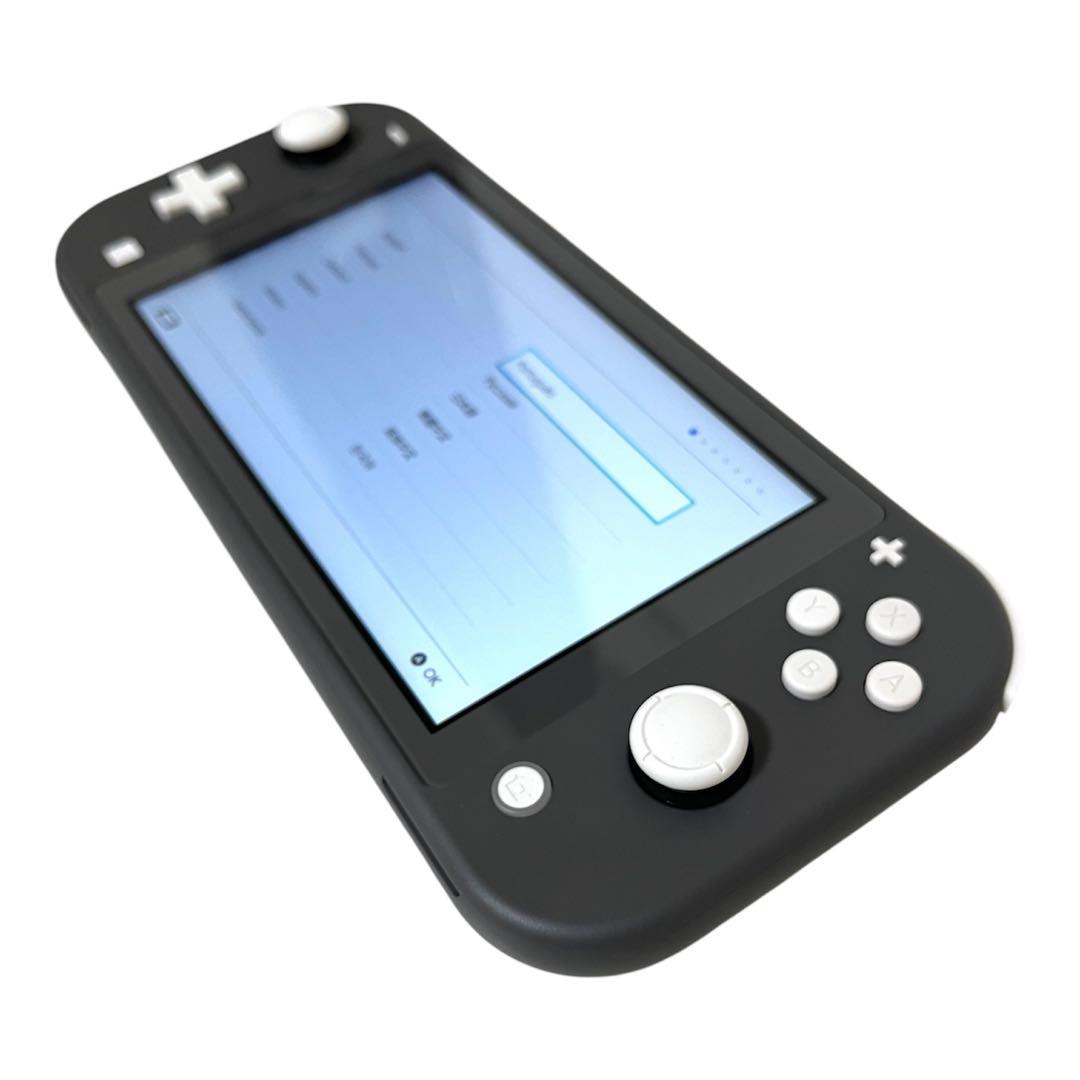 Nintendo Switch Lite グレー 、SDカード（256GB）など