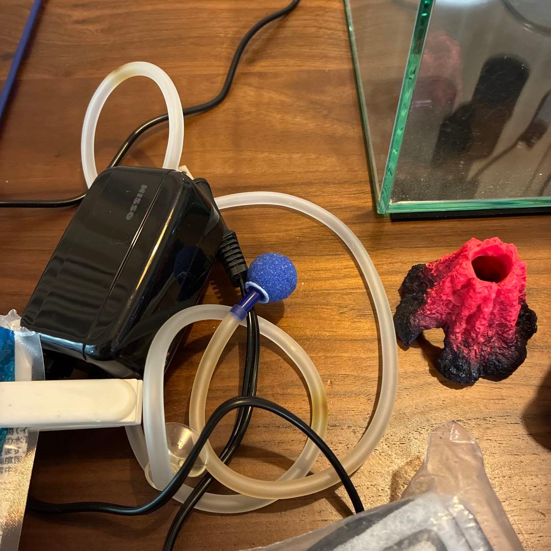 海水魚 ガラス水槽 セットライト•フィルター•飼育本付き