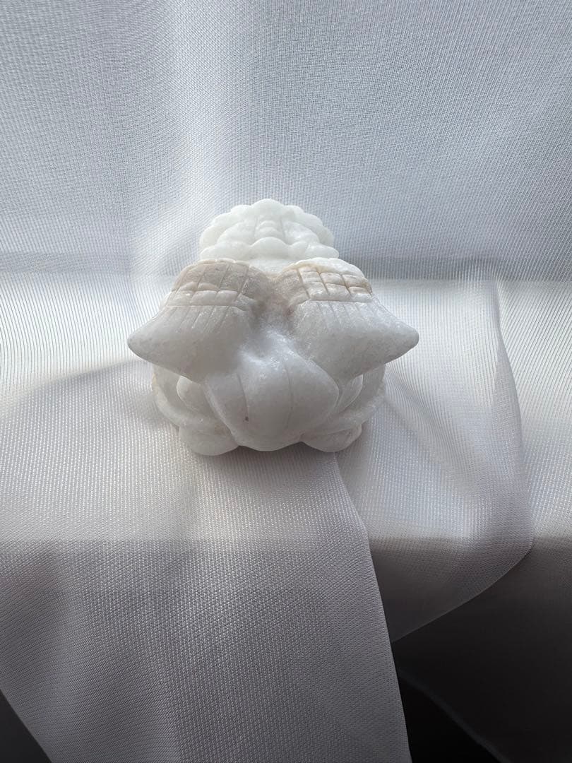 きーちゃんママ⭐︎太極石 龍亀（ロングイ）飛天➕ルチルパーム