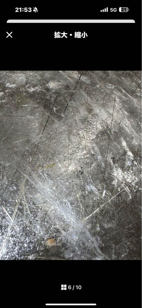 きーちゃんママ⭐︎太極石 龍亀（ロングイ）飛天➕ルチルパーム