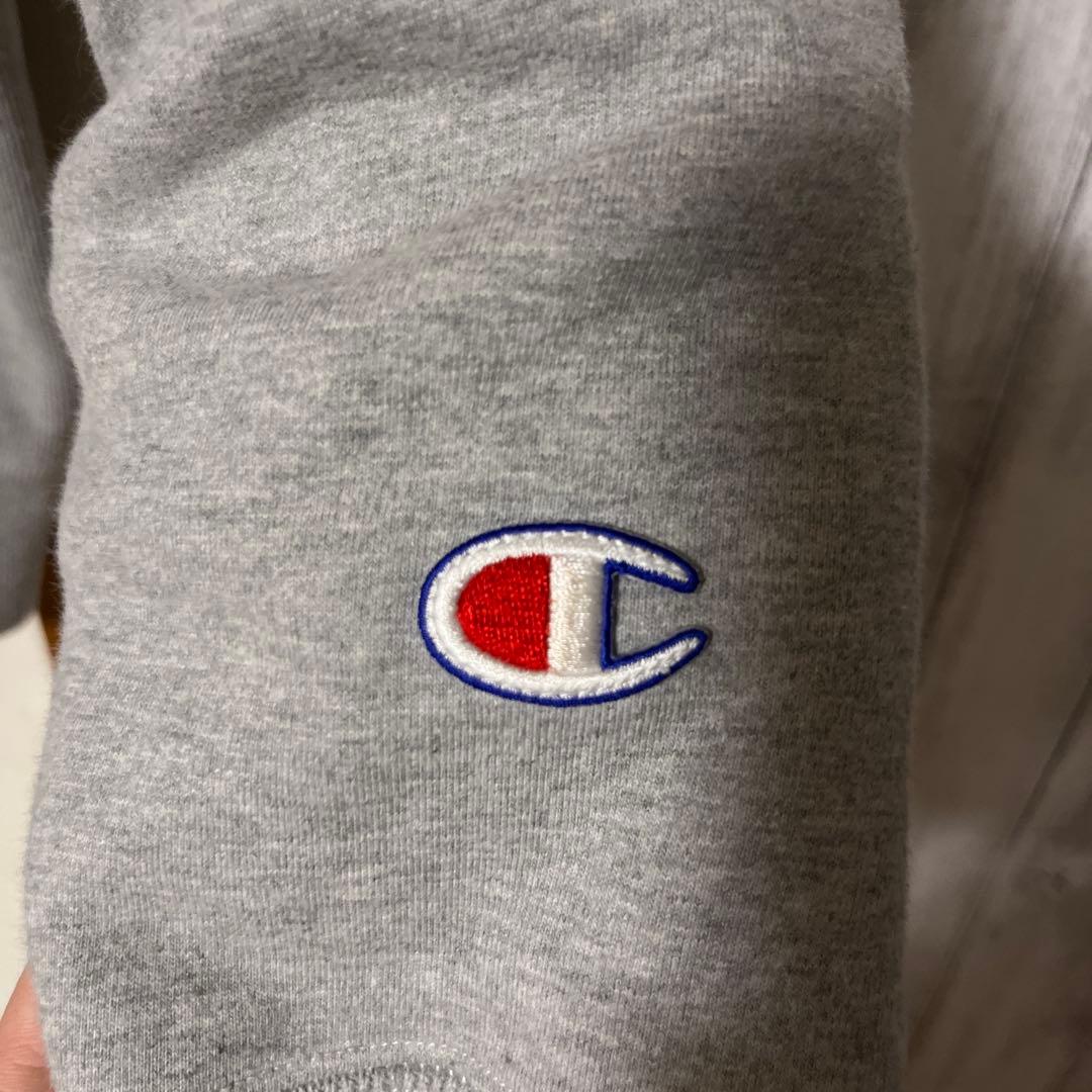 stussy champion コラボ　グレーダブルジップパーカー　厚手　裏起毛