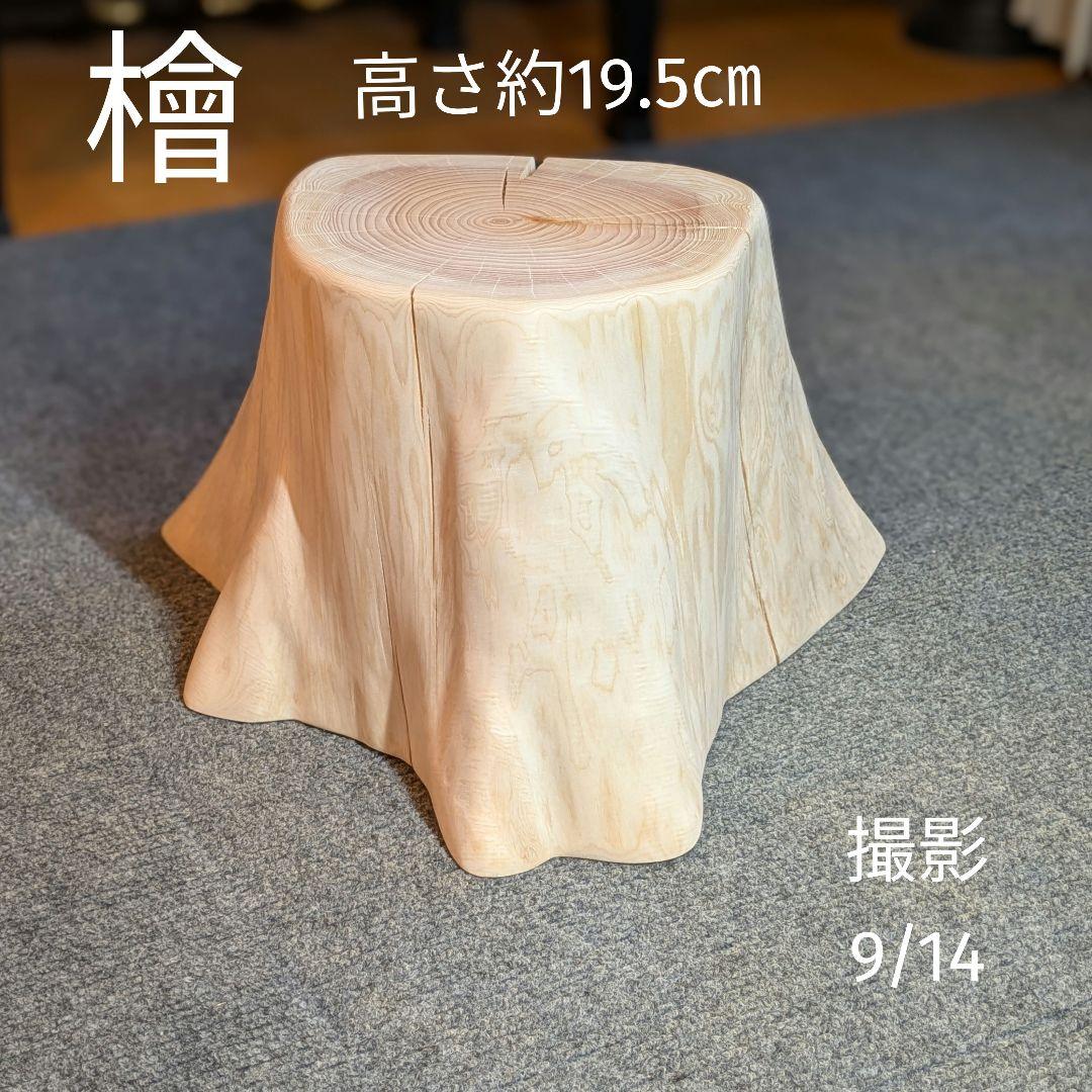 檜　切り株　高さ約19.5㎝