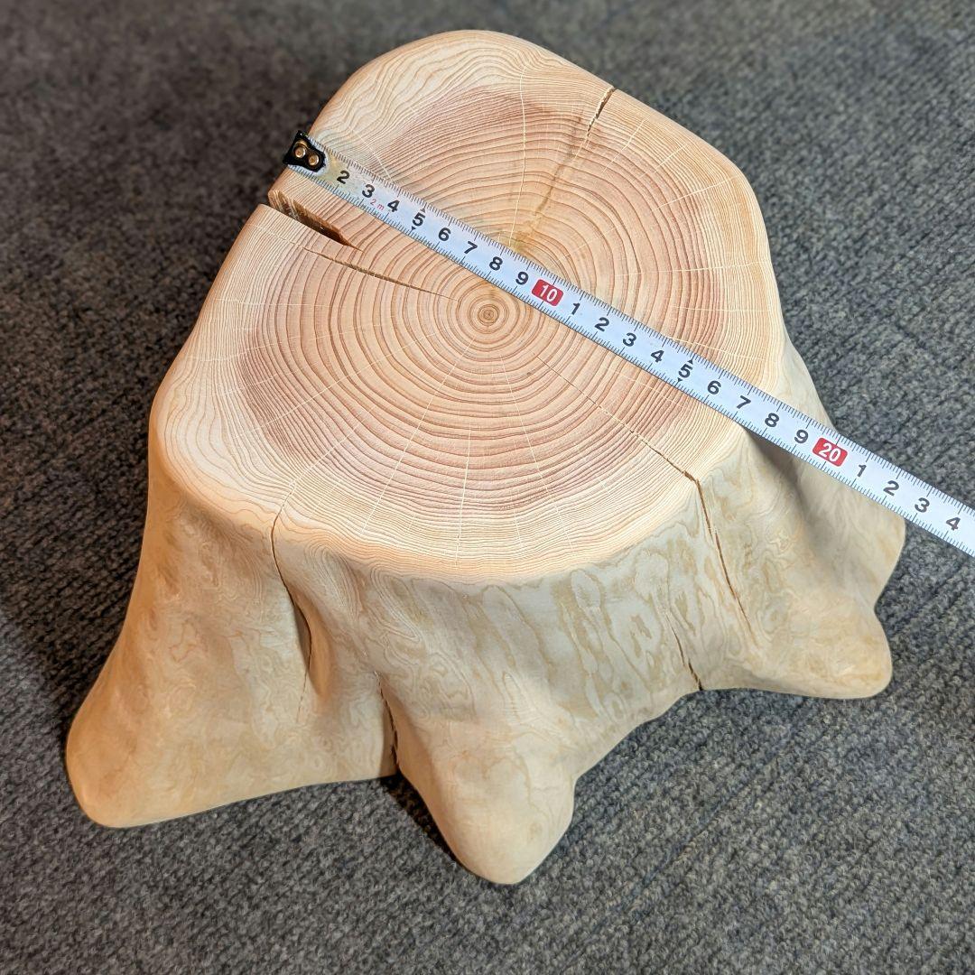 檜　切り株　高さ約19.5㎝