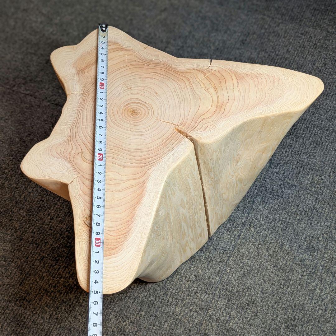 檜　切り株　高さ約19.5㎝