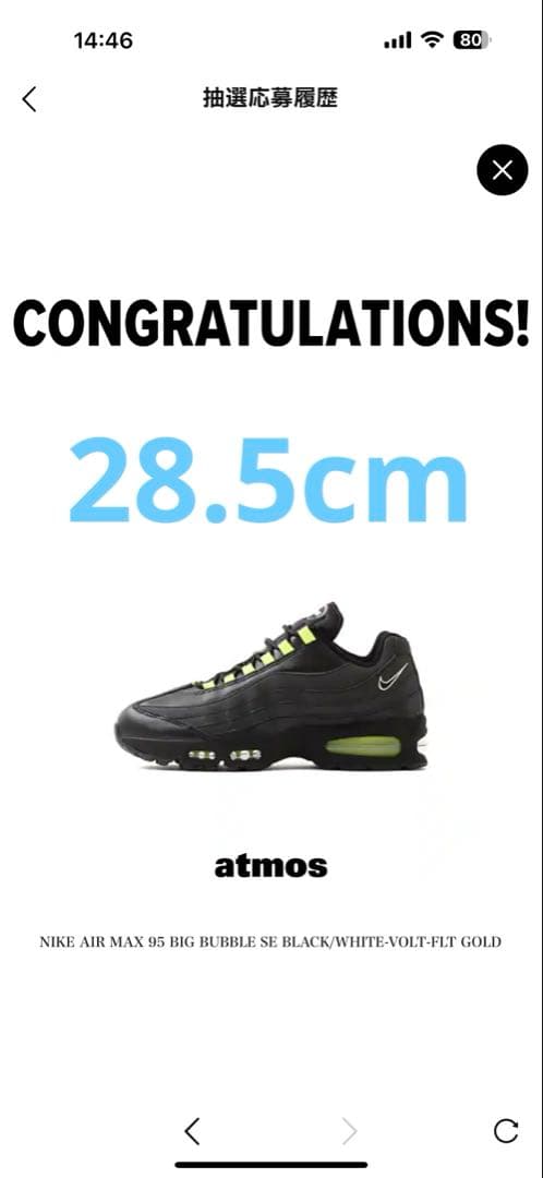 靴 NIKE AIR MAX 95 BIG BUBBLE SE 10.5