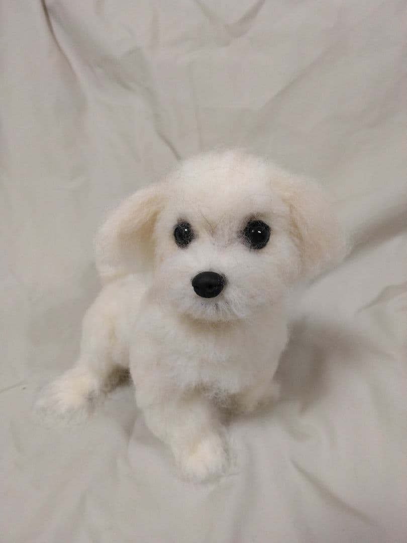 羊毛フェルトオーダー　たーさん